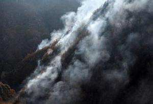 استاد دانشگاه: آتش هیرکانی، سوختن آینده ایران است