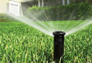 آموزش تغذیه گندم آبی؛ با تمرکز بر نوآوری و افزایش بهره‌وری در دهلران