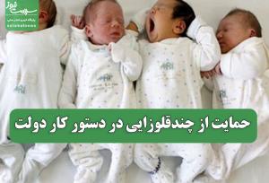 حمایت از چندقلوزایی در دستور کار دولت