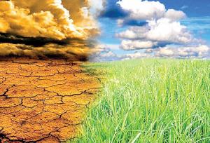 خسارت ۴۰۰۰ میلیارد ریالی خشکسالی به کشاورزان کرمانشاهی/غرامت‌ها تا آخر آذر پرداخت می‌شود
