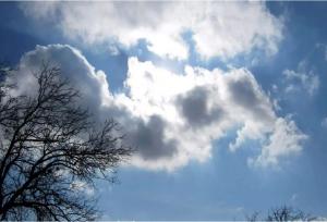 کیفیت هوای تهران: تداوم وضعیت سالم در پایتخت