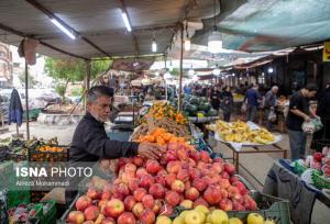 مهم‌ترین راهکار جلوگیری از کمبود کالا و نوسان بازار از زبان سرپرست جهاد کشاورزی فارس