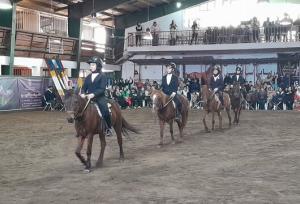 جشنواره ملی اسب نژاد کاسپین در بندر انزلی برگزار شد