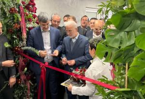 وزیر کشور: باید فرش قرمز برای سرمایه‌گذاران پهن کنیم