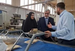نان صنعتی گامی مؤثر در اشتغال‌زایی و ارتقای کیفیت مصرف است