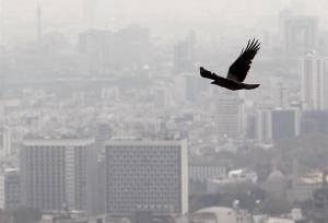 رکود تاریخی در بازار مسکن تهران؛ میانگین قیمت‌ها دیگر معنای آماری ندارد