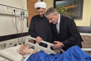 عیادت رئیس سازمان انرژی اتمی از آیت‌الله العظمی نوری همدانی