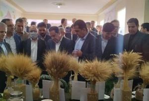 استاندار ایلام: ایده‌های پژوهشی می‌توانند مسیر توسعه استان را متحول کنند