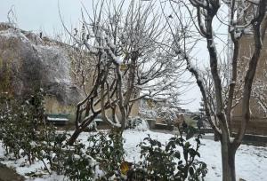 یک روز برفی در شهرستان چناران
