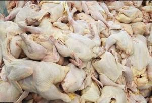 کشف ۶۰۰ کیلوگرم مرغ فاسد  و غیربهداشتی در بهارستان