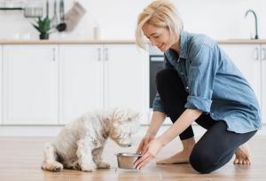 طرز تهیه سیرابی برای سگ (راهنمای پخت خانگی)