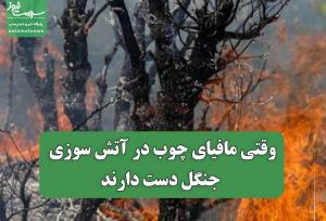وقتی مافیای چوب در آتش سوزی جنگل دست دارند