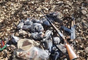 شکار غیرمجاز عاملی برای برهم خوردن تعادل اکوسیستم است