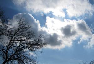 وزش باد و افزایش ابر در برخی مناطق استان زنجان