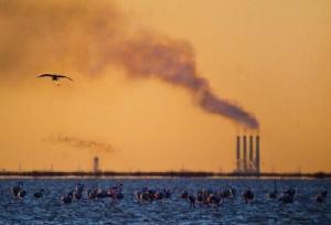 رشد ۲۶ درصدی پایش آلودگی هوای واحدهای صنعتی