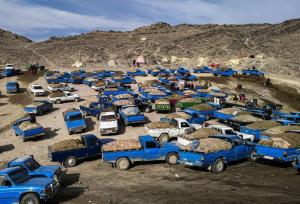 توقیف ۱۴ دستگاه خودرو شوتی حامل سوخت قاچاق در بندرعباس