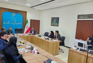 سعیدی: بسته سرمایه‌گذاری حوزه سلامت کرمان در دست تدوین است
