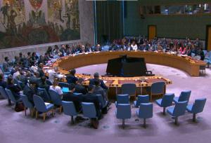 دیس و دیس‌بک نماینده ایران و آمریکا در نشست شورای امنیت