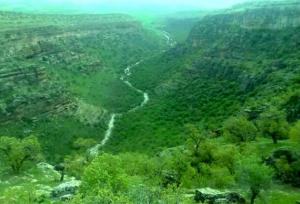 ضرورت نجات عروس زاگرس از چنگال بهره‌کشی‌های مغایر با توسعه/توسعه بدون محیط زیست، خسارت محض