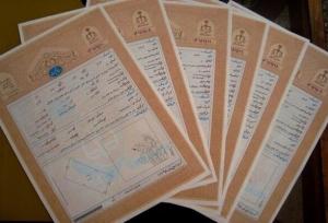 صدور اسناد تک‌برگ برای بیش از ۱۱۰۰ هکتار اراضی علی‌آباد کتول