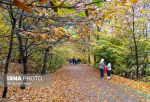 نفس عمیق در دل جنگل‌های گلستان/مسیرهای رویایی برای پیاده‌روی صبح جمعه
