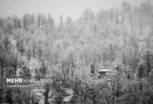 مرادی: توقف بارش برف در ۱۰ محور گیلان؛ تردد جریان دارد