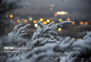 هشدار هواشناسی به ۲۵ استان؛ خسارت به محصولات کشاورزی با تشدید بارش‌ها