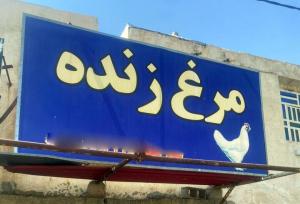 عرضه غیرمجاز مرغ زنده در شیراز و بی تفاوتی مسئولان