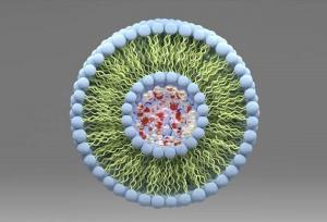 استانداردسازی فناوری نانو در حوزه نانولیپوزوم‌ها و ارزیابی ایمنی نانومواد