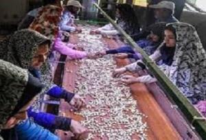برگزاری روز جهانی زن روستایی در زاهدان