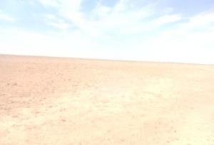 تالاب بندعلیخان در آستانه بحران اکولوژیک