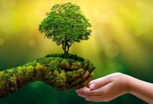 وقتی فرهنگ زمین را زنده می‌کند/ اصفهان سبز در روز فرهنگ عمومی و محیط‌زیست