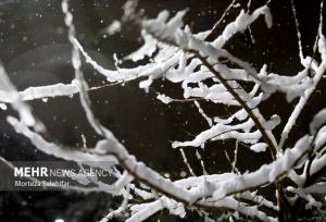 بارش سنگین برف در محور سمیرم به شهرضا