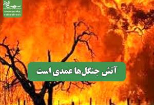 آتش جنگل‌ها عمدی است