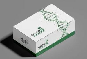 تشخیص دقیق HPV با کیت ژنیکس؛ فناوری ایرانی برای امنیت سلامت جنسی