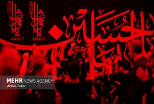 پیروزی امت اسلام در گرو وحدت شیعه و سنی است