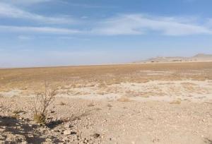 حال ناخوش میزبان فلامینگوها در ملایر