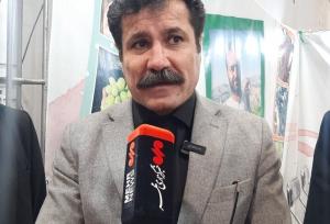 مسیر توسعه متوازن و اقتصاد پایدار در روستاها دنبال می‌شود