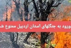 ورود به جنگل‌های استان اردبیل ممنوع شد