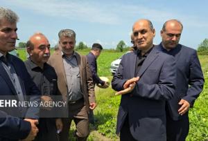 ظرفیت‌های صادراتی محصولات کشاورزی گیلان باید فعال شود