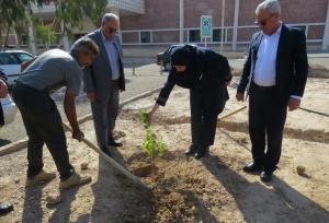 اجرای پویش درختکاری در ۸ نقطه استان سمنان به مناسبت روز پدر