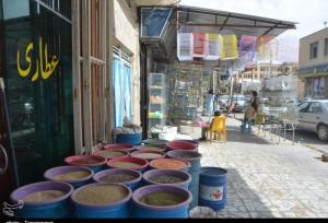 کشف ۳ هزار قرص روانگردان در ۵ عطاری پایتخت