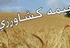 ۴ محصول زراعی زیر پوشش بیمه اجباری رفت