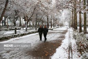 داداشی: بارندگی پاییز خراسان شمالی ۵۵ درصد کاهش یافت