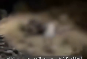 بی احتیاطی عجیب در لحظه کشف پیکر الهه حسین‌نژاد