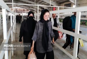 سه میلیون و ۱۳۸ هزار نفر در مرز مهران تردد کردند