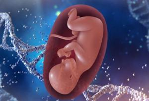 امکان بارداری ایمن پس از درمان سرطان خون با سلول های بنیادی