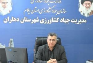 مدیر جهاد کشاورزی شهرستان: دهلران با گسترش کشاورزی کم‌آب‌بر در مسیر تولید پایدار قرار دارد