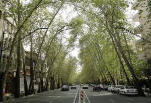 زیباترین خیابان‌های ایران که عاشقش می‌شوید