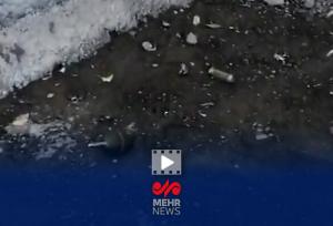 کشف نارنجک اسراییلی از تروریست‌های مسلح در ملکشاهی ایلام